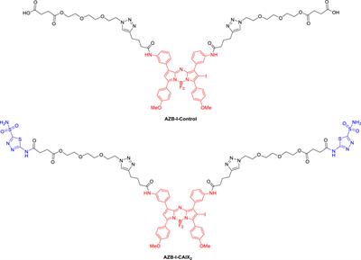 Aza-BODIPY based carbonic anhydrase IX: Strategy to overcome hypoxia limitation in photodynamic therapy